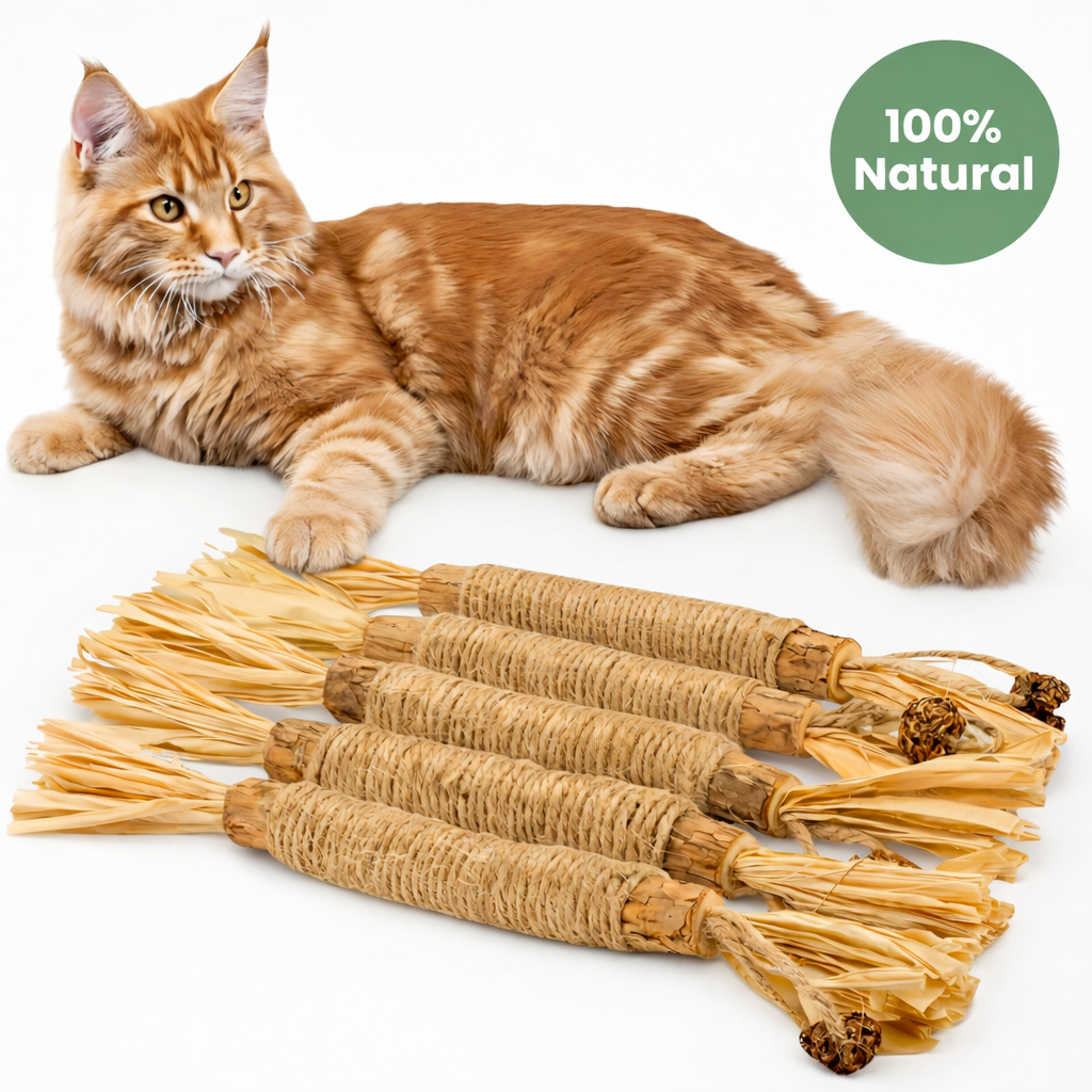 MichiCare™ Palitos Dentales Naturales