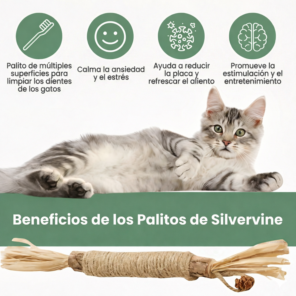 MichiCare™ Palitos Dentales Naturales