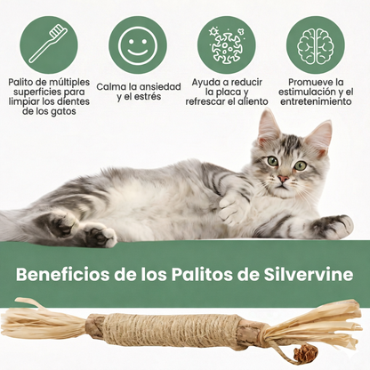 MichiCare™ Palitos Dentales Naturales